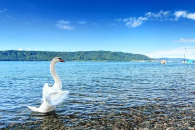 Constance Lake Constance cycling holiday