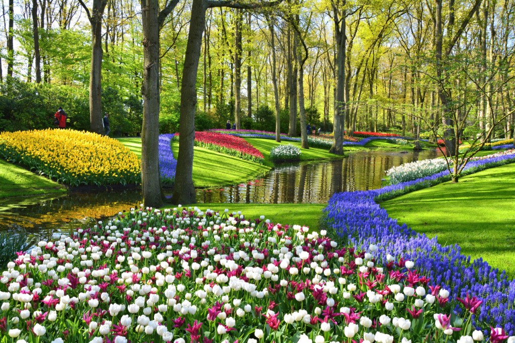 The Keukenhof
