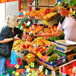 Cycling Holidays France Provence