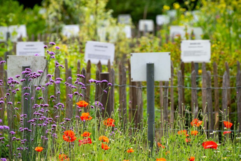 Monastery Garden at Postel Abbey