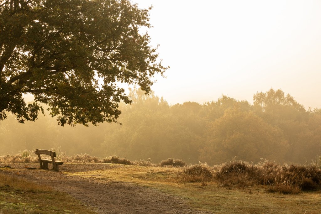 national park de maasduinen