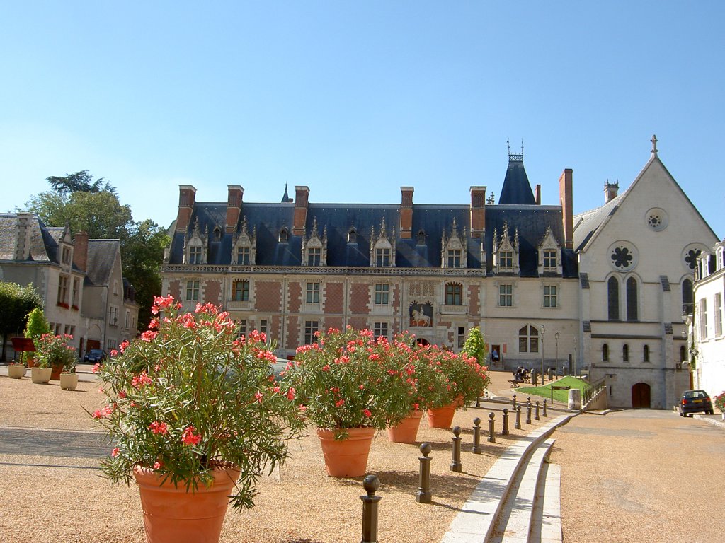 Castle of Blois