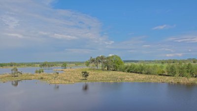 Turnhoutse Heide Bladel cycling holiday