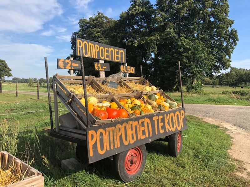 Vegetable stall