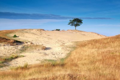 Drents-Friese Wold - cycling