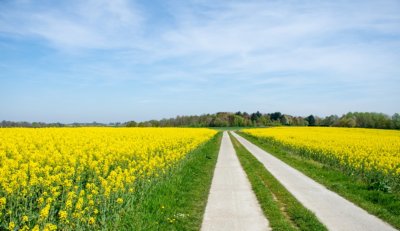 Cycling holiday Flemisch Brabant