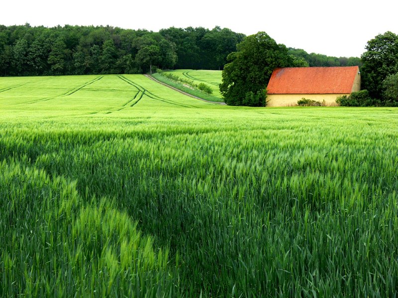 Near Osnabruck