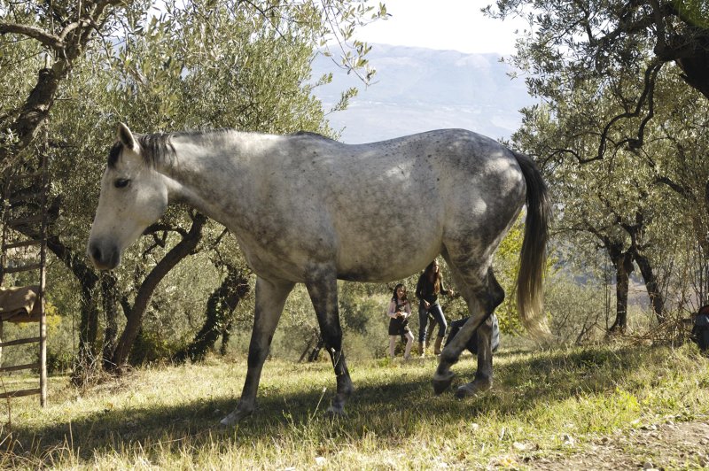 Cycling holiday Umbria Italy