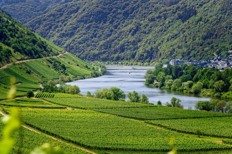 Moselle