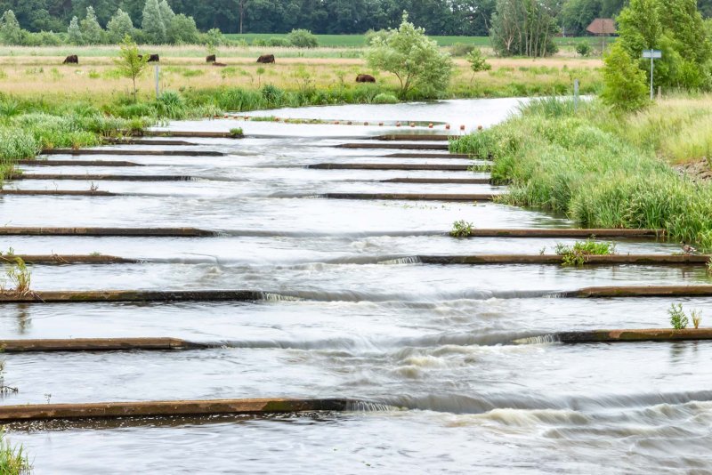 Vecht Beerze cycling holiday