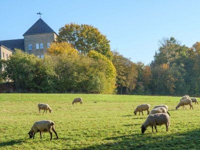 Gerleve cycling holiday munsterland