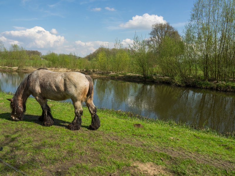 Berkel Valley