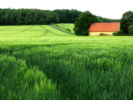 Near Osnabruck