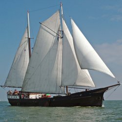 Friesland frisia
