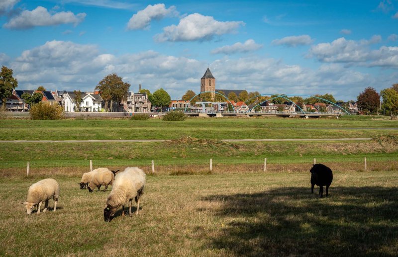Cycling holiday Dalfsen