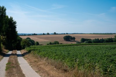 Vlaams Brabant - cycling holidays