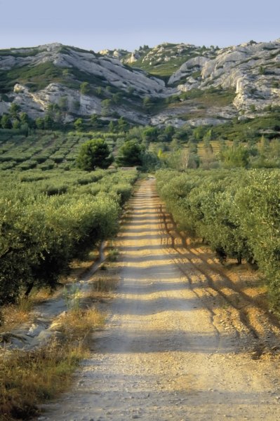 Maussane-les-Alpilles