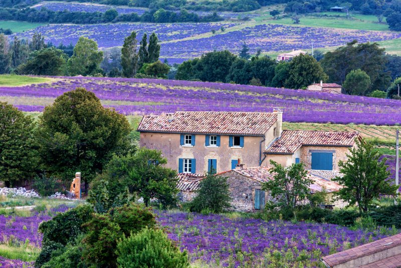Sault cycling holiday Provence
