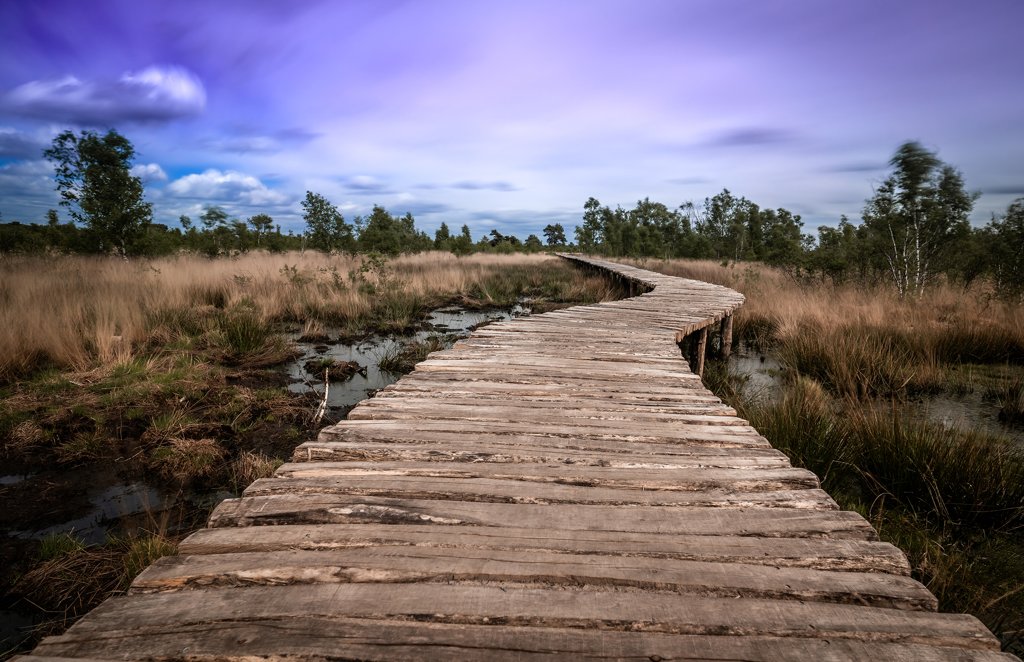 National Park de Groote Peel
