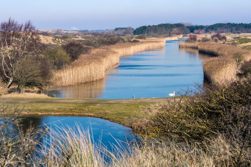 Amsterdam Water Supply Dunes