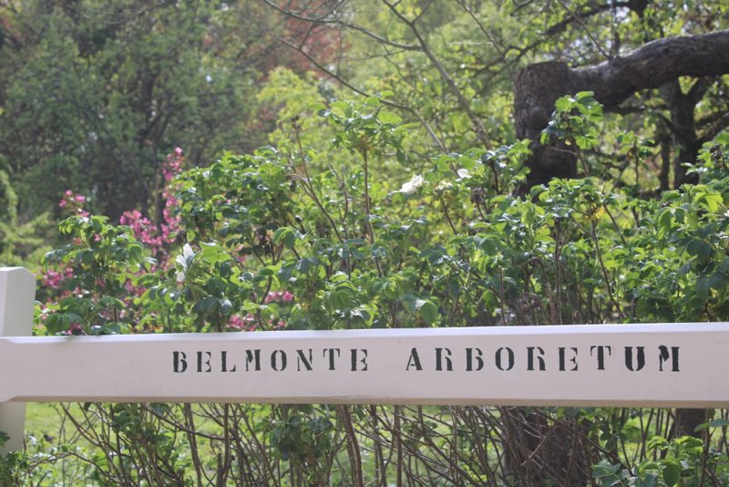 Arboretum Belmonte, Wageningen - Tag 1