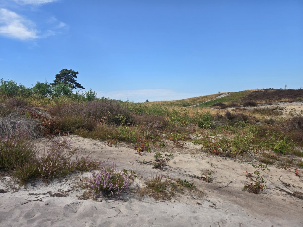 national park de maasduinen