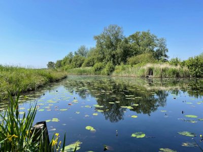 National Park De Alde Feanen