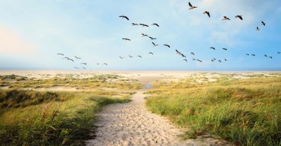 Langeoog cycling holiday
