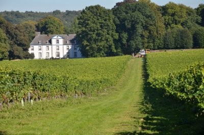 Wine castle Genoels-Elderen